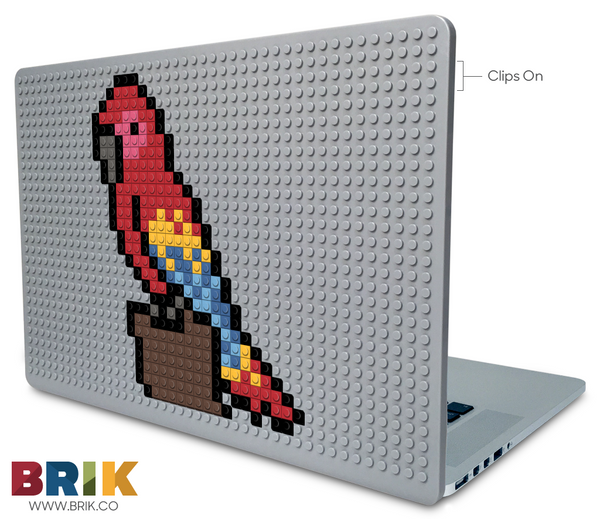 Parrot Laptop Case