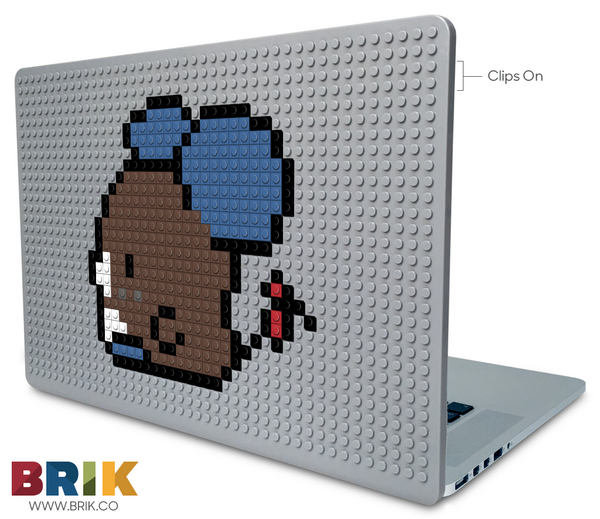 Picke Bicke Laptop Case