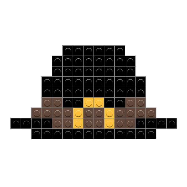 Pilgrim Hat