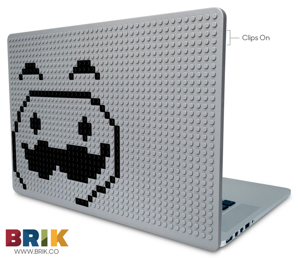 pringles Laptop Case
