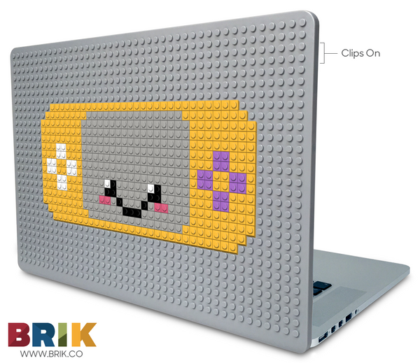 PSP Laptop Case