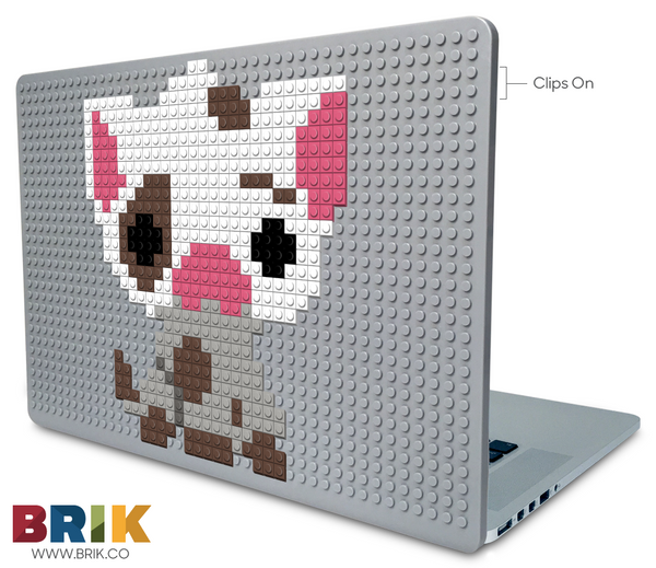 Pua Laptop Case