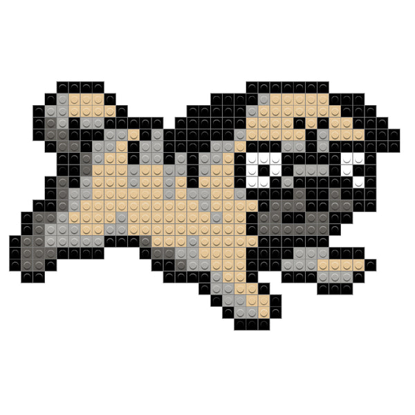 Pug