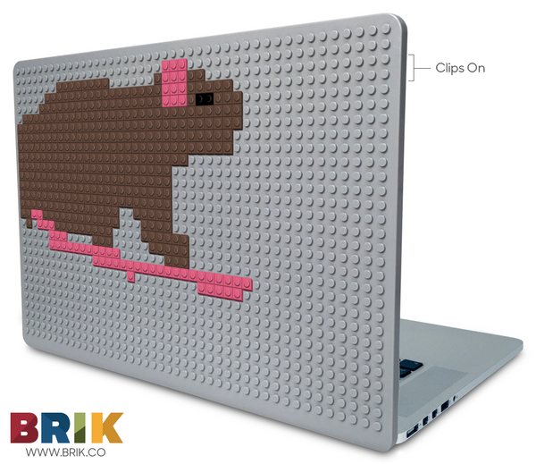 Rat Laptop Case