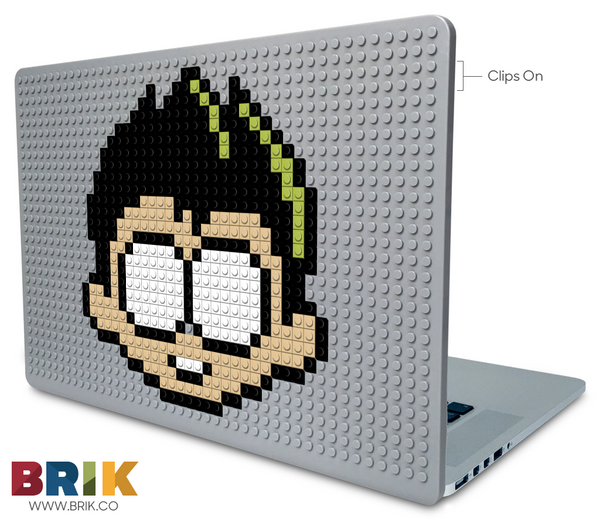 Robin Laptop Case