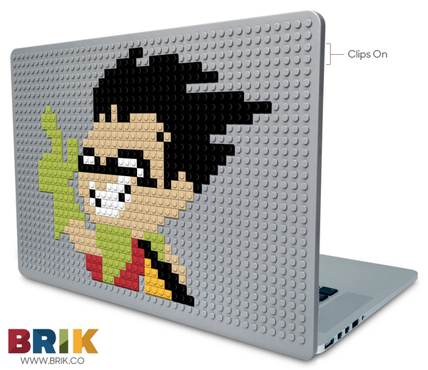 Robin Laptop Case