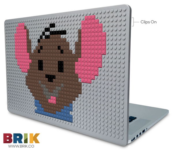 Roo Laptop Case