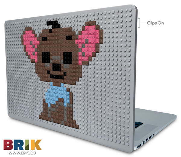 Roo Laptop Case