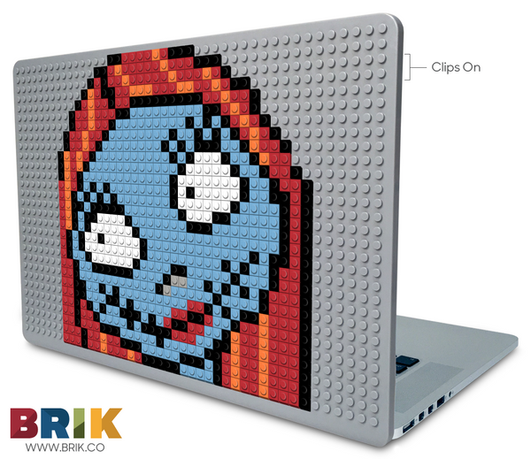 sally Laptop Case