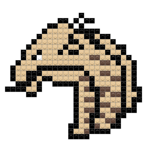 SandWing