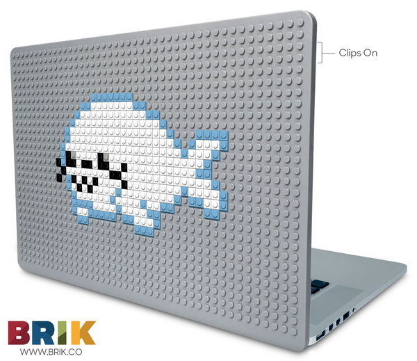 Seal Laptop Case