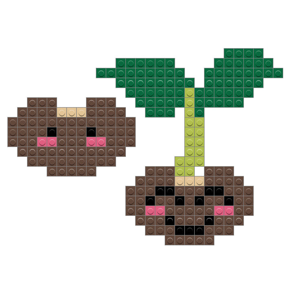 Seeds