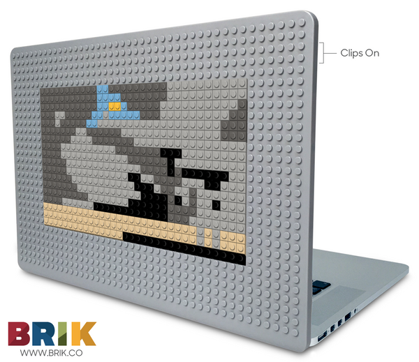 skull Laptop Case