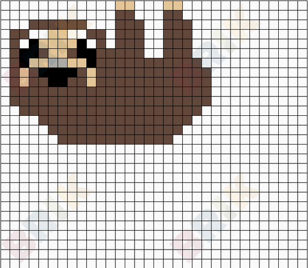 sloth