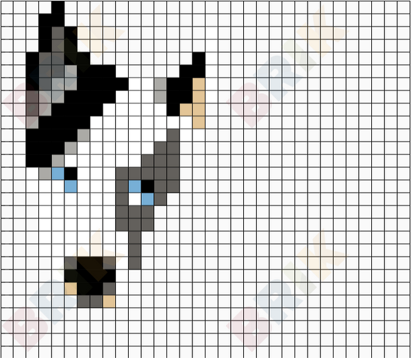 Spencer dog