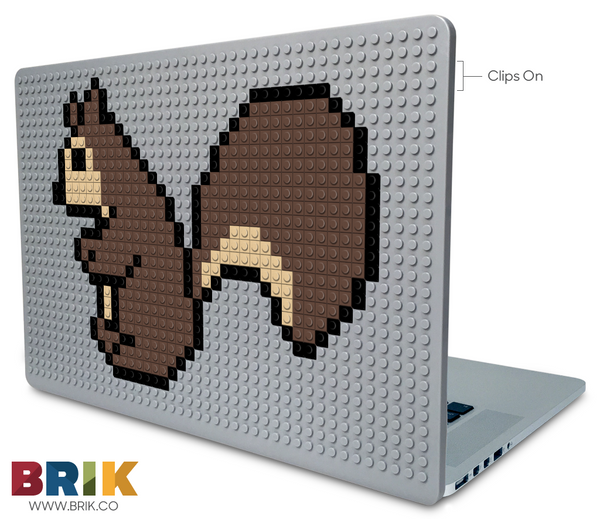 Squirrel Appreciation Day Laptop Case