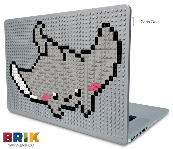 Stingray Laptop Case