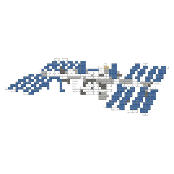 The International Space Station