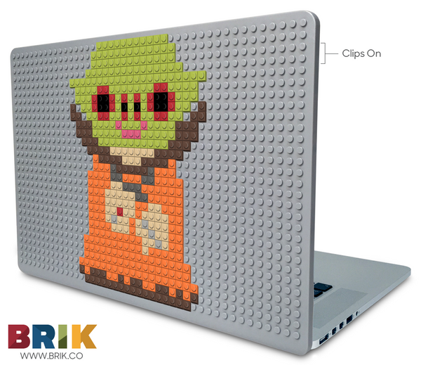 The Master Laptop Case