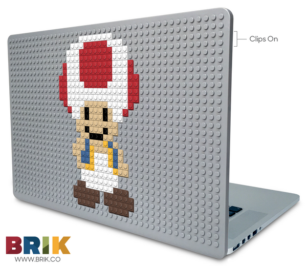 Toad Laptop Case