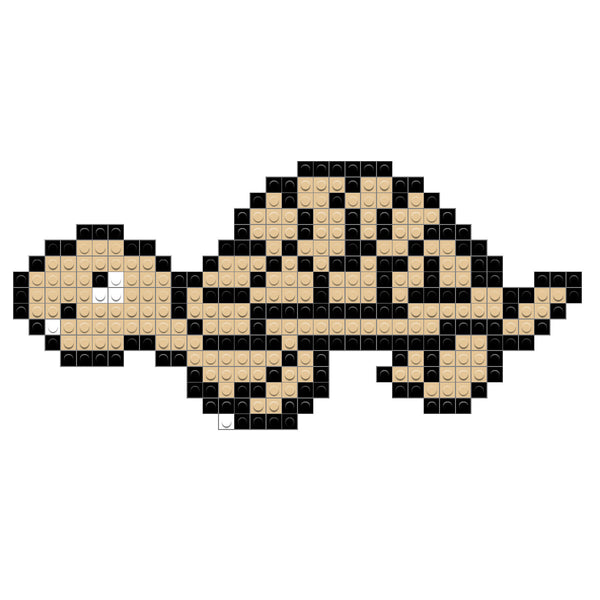 Tortoise