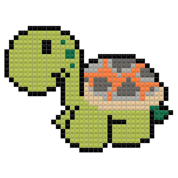 Tortoise