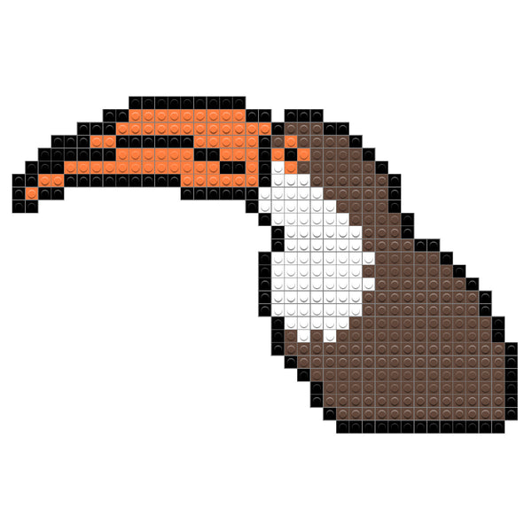 Toucan