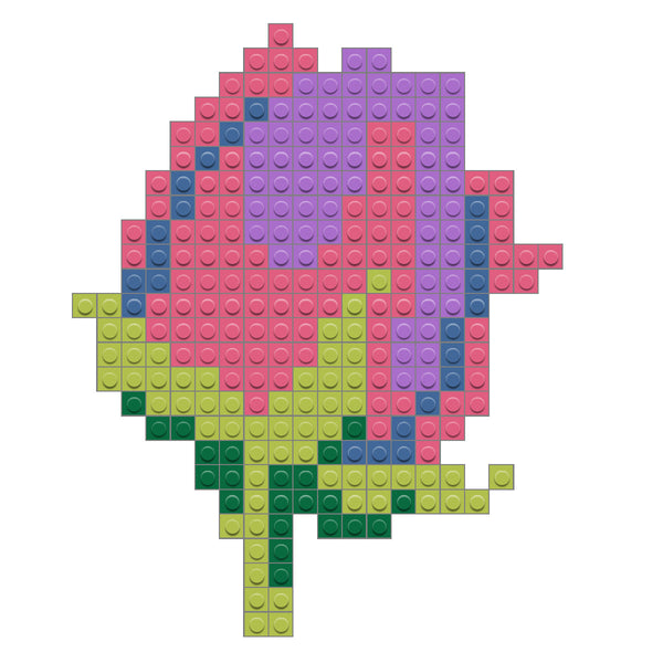 Tulip