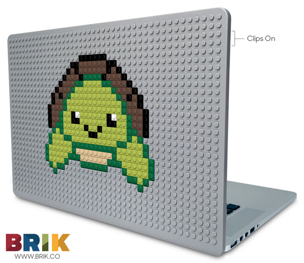 Turtle Laptop Case