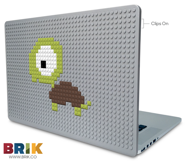 Turtle Laptop Case
