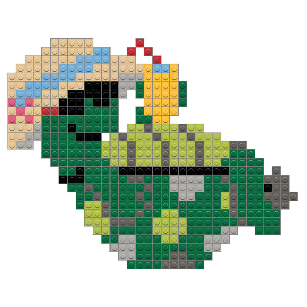 Turtle