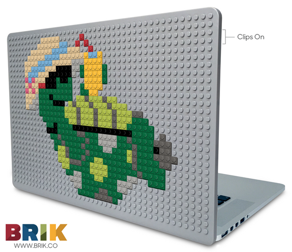Turtle Laptop Case
