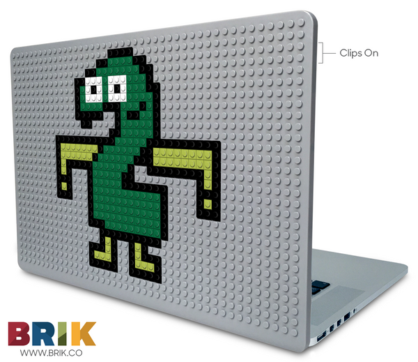 Two TPOT Laptop Case