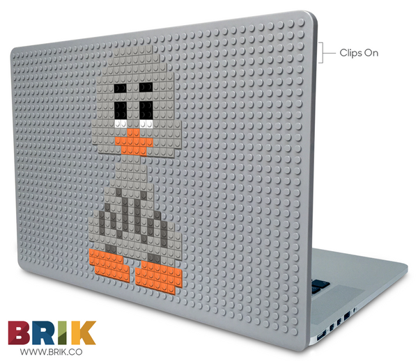 Ugly Duckling Laptop Case