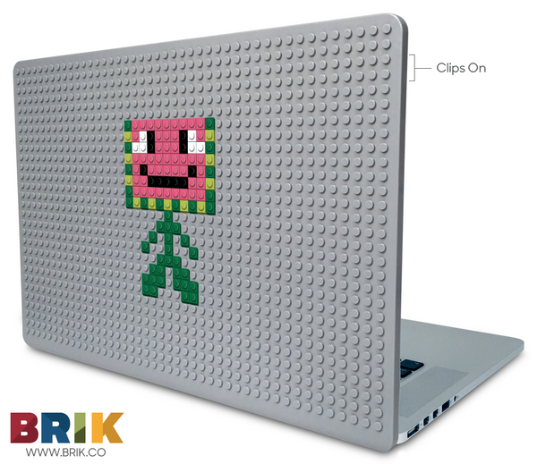 watermanin Laptop Case