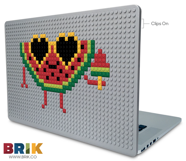 Watermelon Laptop Case