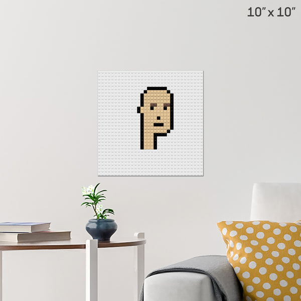 wdsw Brick Poster