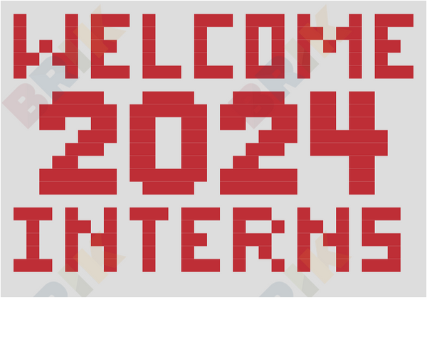welcome 2024 interns gray