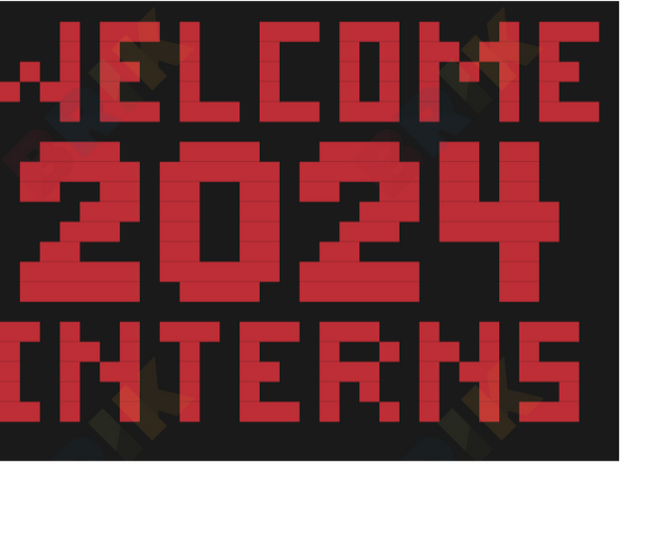 Welcome 2024 Interns