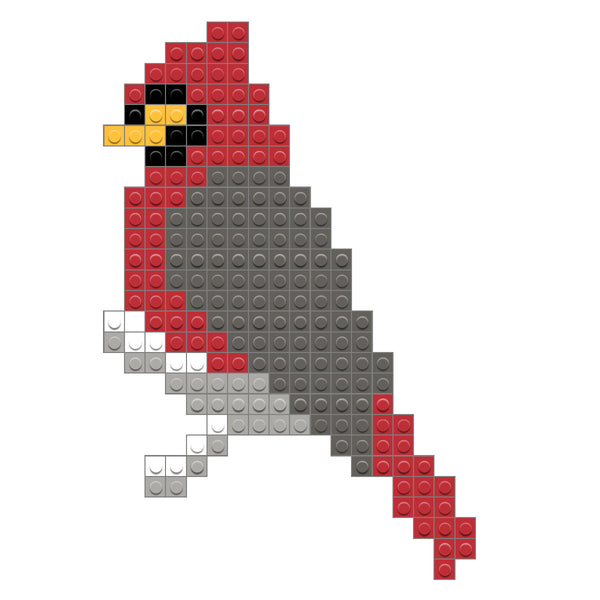 Winter Cardinal