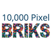 Mega Brik Kit: 10,000 Pixel Briks
